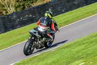 Oulton-Park-20th-March-2020;PJ-Motorsport-Photography-2020;anglesey;brands-hatch;cadwell-park;croft;donington-park;enduro-digital-images;event-digital-images;eventdigitalimages;mallory;no-limits;oulton-park;peter-wileman-photography;racing-digital-images;silverstone;snetterton;trackday-digital-images;trackday-photos;vmcc-banbury-run;welsh-2-day-enduro